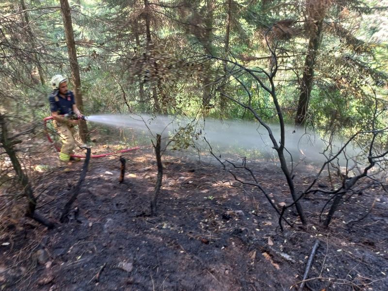 Aydos Ormanı’nda küçük çaplı yangın çıktı
