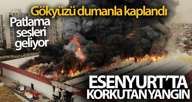 Esenyurt’ta lojistik deposu alevlere teslim olurken, içeriden patlama sesleri geliyor