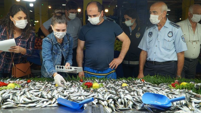 Kağıthane’de semt pazarlarında balık denetimi
