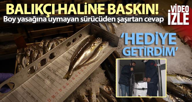 (ÖZEL) İstanbul Boğazı ve Gürpınar Su ürünleri Hali’nde balık boyları denetlendi
