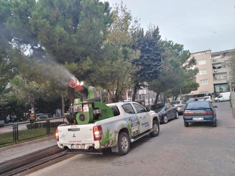 Sultangazi Belediyesi dantel böceğine karşı teyakkuzda
