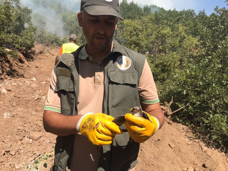 Tunceli’deki orman yangınları kontrol altına alındı
