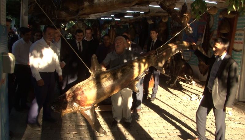 Esenyurt Mehmet Altun Öğrenci yurdu öğretmenleri Balıkçı Kenan’ı ziyaret etti
