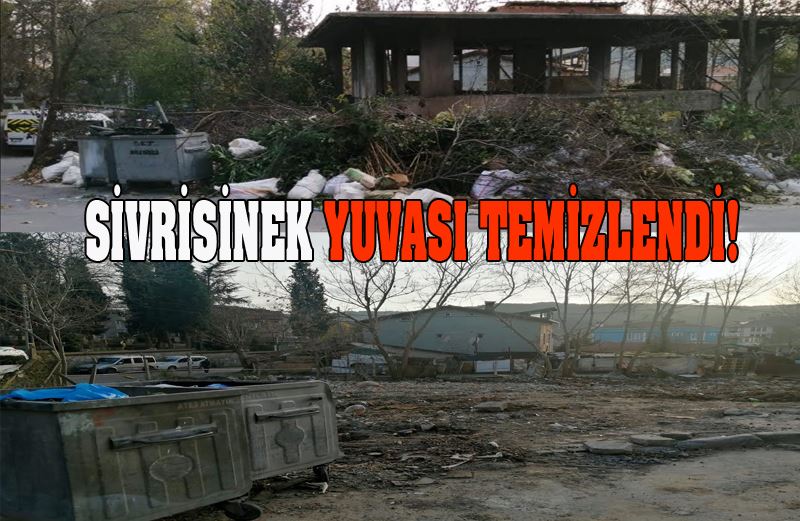 Sivrisinek yuvaları temizlendi