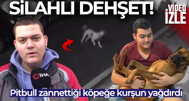 Üsküdar’da silahlı dehşet: Otizmli gencin köpeğini pitbull zannederek silahla vurdu