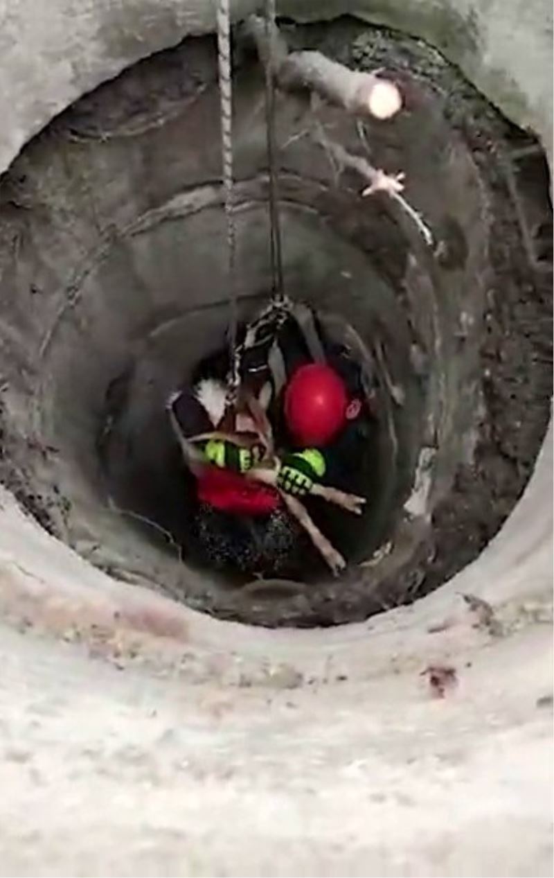 Beylikdüzü’nde itfaiye ekiplerinden keçi kurtarma operasyonu
