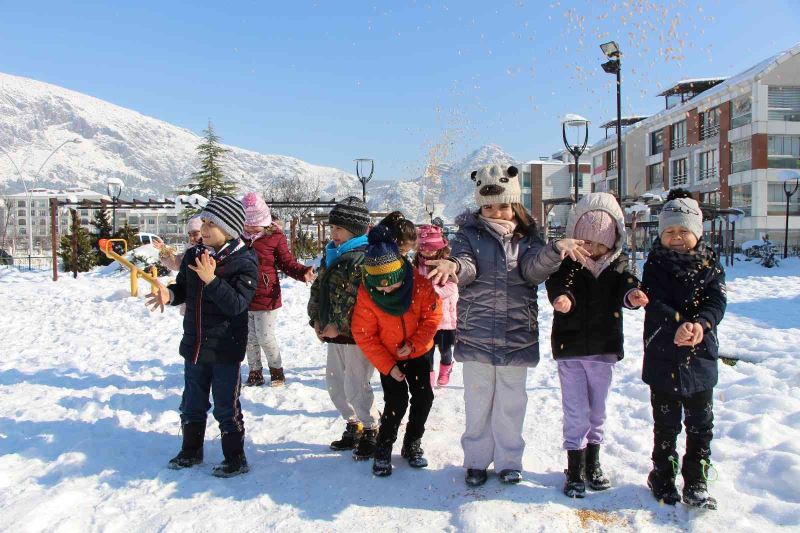 Amasya’da minik öğrenciler kuşlar ve sokak hayvanları için yem ile mama dağıttı
