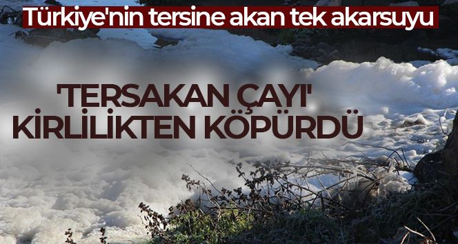 Türkiye’nin tersine akan tek akarsuyu olan ’Tersakan Çayı’ kirlilikten köpürdü
