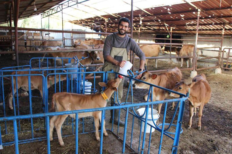 Üniversiteden mezun olup döndüğü köyünde süt çiftliği kurdu
