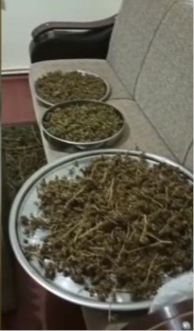 Beykoz’da mahallede yayılan kokunun izini süren polis, 7 kilo uyuşturucu buldu
