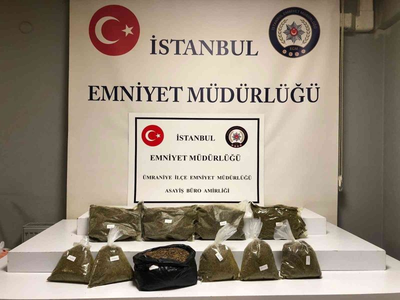 Ümraniye’de torbacının evindeki bazadan 7 kilo bonzai çıktı
