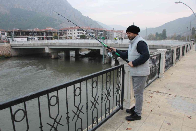 Yeşilırmak’ta su samuru ailesi görüldü, vatandaşlar yayın balığı sandı