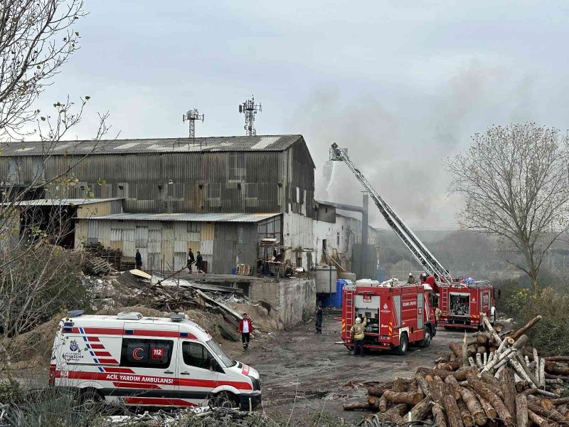 Pendik’te çinko ve kaplama fabrikası alevlere teslim oldu