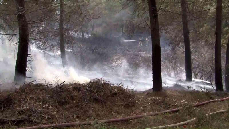 Sultangazi’de çalılık alanda yeniden yangın çıktı
