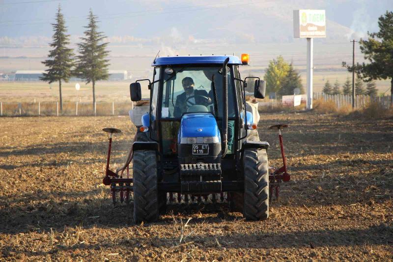 En verimli yerli ve milli buğday tohumunu belirlemek için 50 çeşit ekildi
