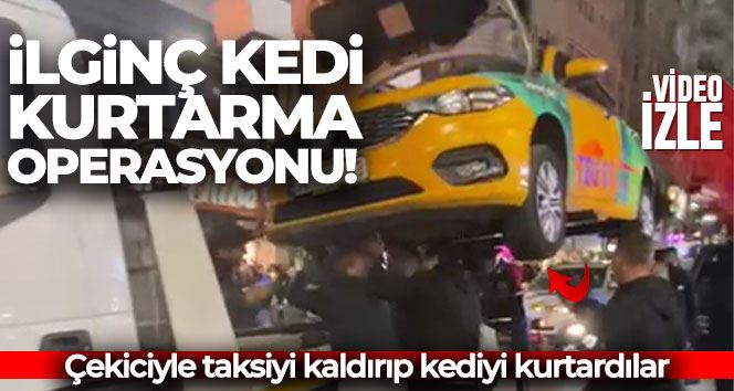 İstanbul’da ilginç kedi kurtarma operasyonu kamerada: Çekiciyle taksiyi kaldırıp kediyi kurtardılar