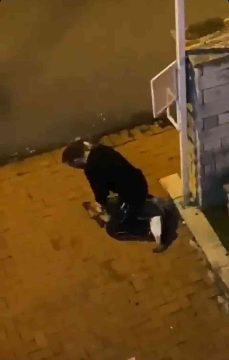 Sarıyer’de köpeği boğmaya çalışan şüpheli tutuklandı