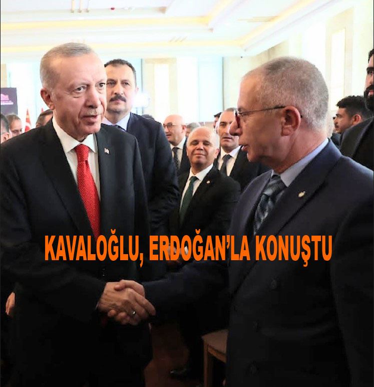 Kavaloğlu, Erdoğan