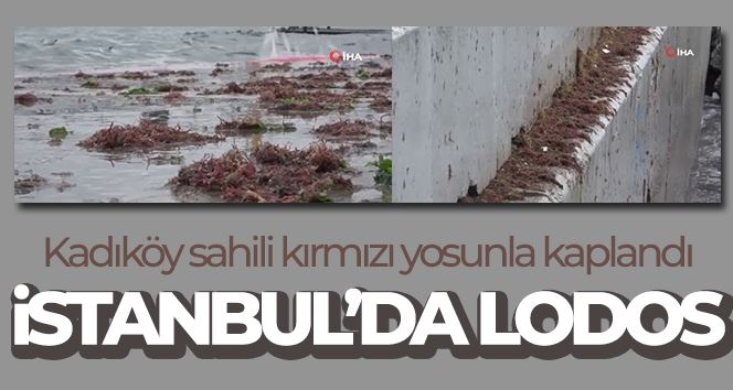 İstanbul’u lodos, Kadıköy’ü kırmızı yosunlar vurdu