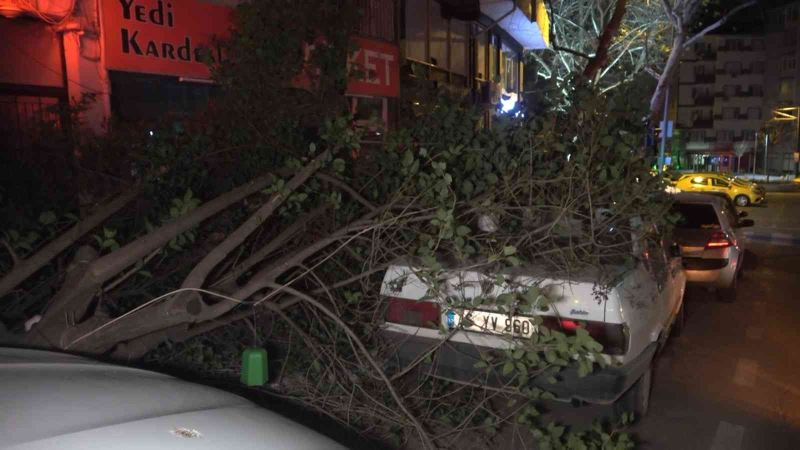 Bursa’da şiddetli lodosun etkisiyle kırılan ağaç, park halindeki otomobilin üzerine düştü