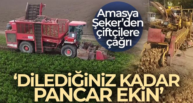 Amasya Şeker’den çiftçilere çağrı: “Dilediğiniz kadar pancar ekin