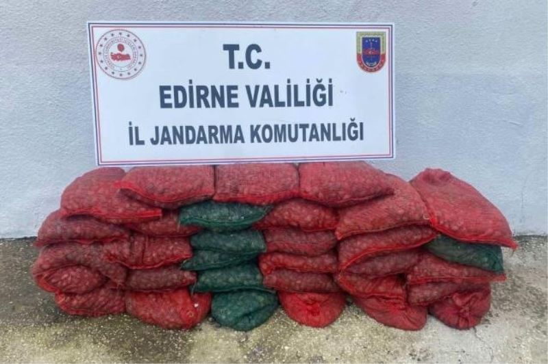 Enez’de 1 ton kum midyesi ile yakalanan şahıslara 297 bin lira ceza
