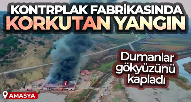 Amasya’da kontrplak fabrikasında korkutan yangın
