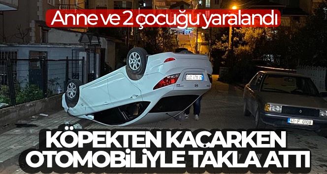 Köpekten kaçarken otomobiliyle takla attı: 3 yaralı