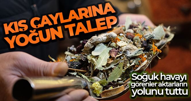 Havaların soğuması kış çaylarına talebi arttırdı