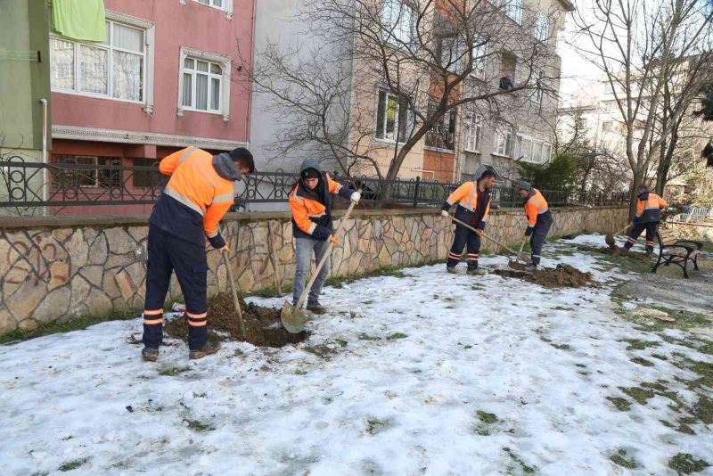 Eyüpsultan’da ağaç dikimi devam ediyor
