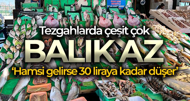 Balık tezgahlarında çeşit çok, balık az