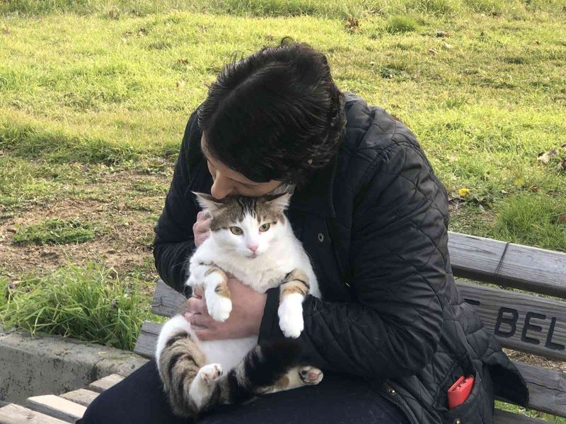 Dünya Kediler Günü’nde kediler ücretsiz muayene edildi
