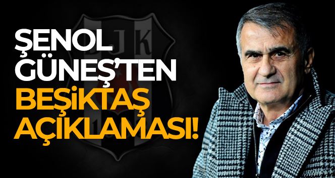 Şenol Güneş: 