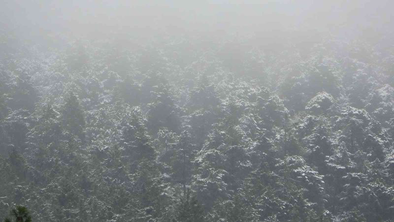 Aydos Ormanına yeniden kar yağmaya başladı
