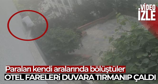 İstanbul’da otele tırmanan hırsızlar kamerada: Cüzdan çalıp paraları bölüştüler