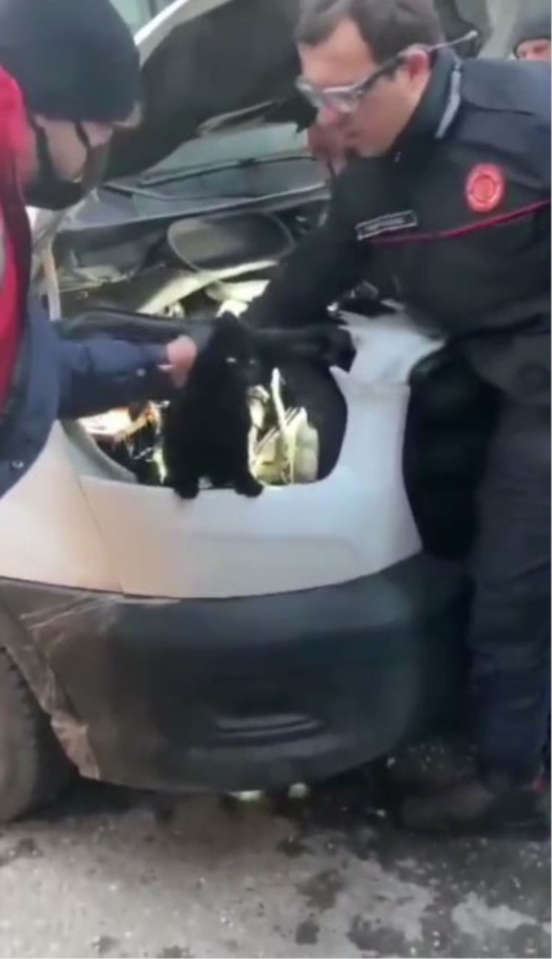 Araç motorunda mahsur kalan kediyi itfaiye kurtardı
