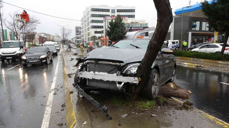 Pendik’te aşırı hızlı otomobil, aydınlatma direği ve ağaca çarpıp yerinden söktü
