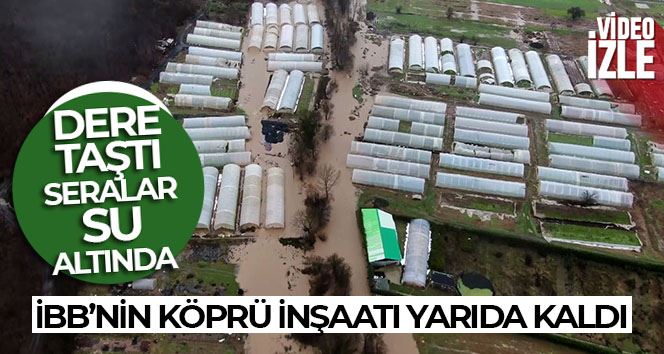 İBB’nin köprü inşaatı yarıda kaldı, derenin taşmasıyla seralar su altında kaldı