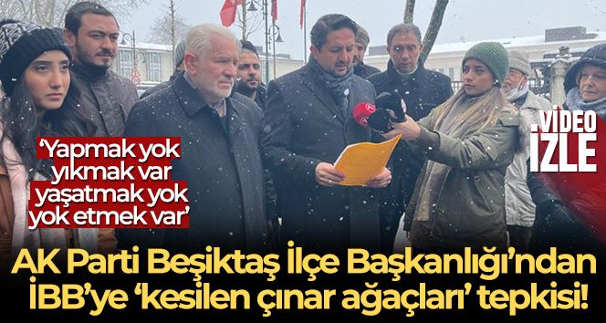 AK Parti Beşiktaş İlçe Başkanlığı’ndan İBB’ye ‘kesilen çınar ağaçları’ tepkisi