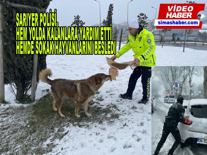 İstanbul polisi hem yolda kalanlara yardım etti, hem de sokak hayvanlarını besledi