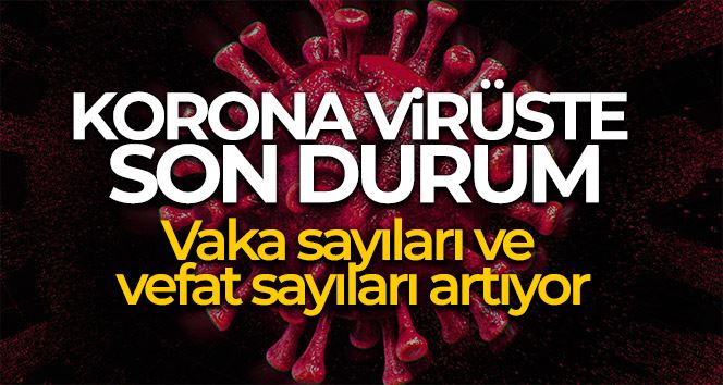 Son 24 saatte korona virüsten 90 kişi hayatını kaybetti