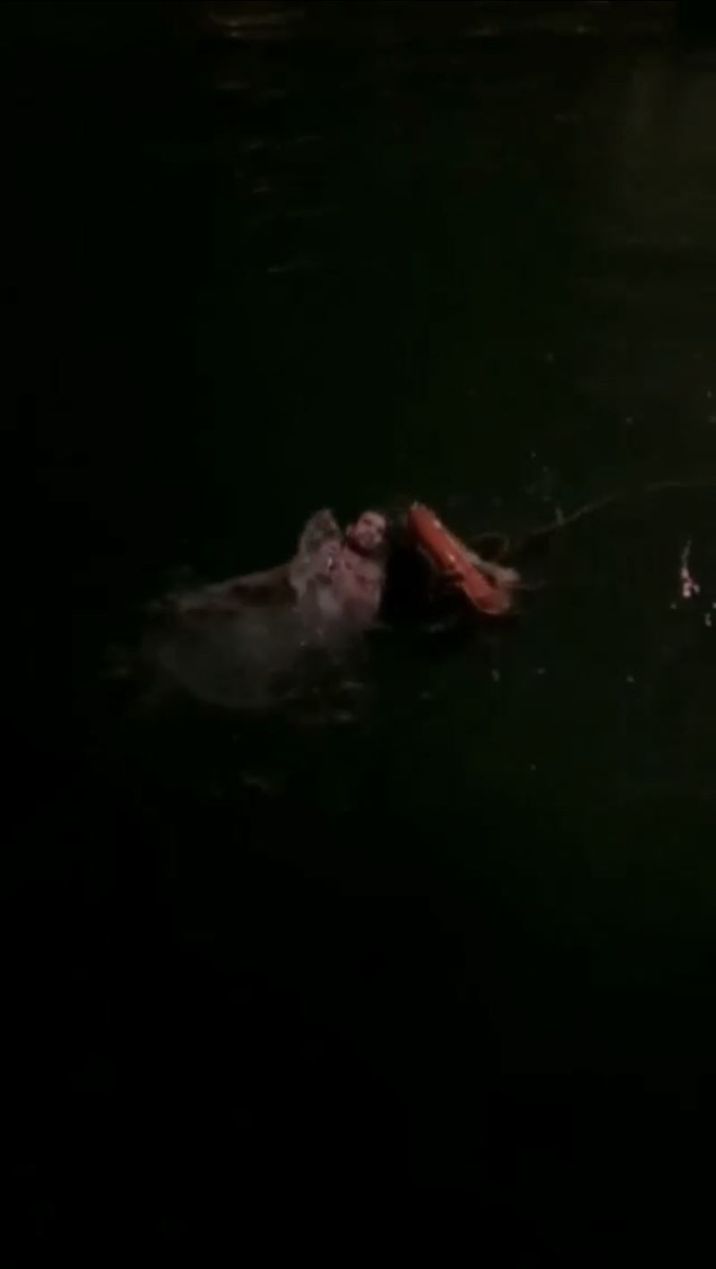 Denize atlayan genci bekçi kurtardı