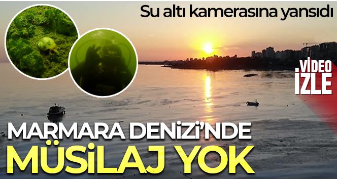 Marmara Denizi’nde müsilaj yok: Su altı kamerasına yansıdı