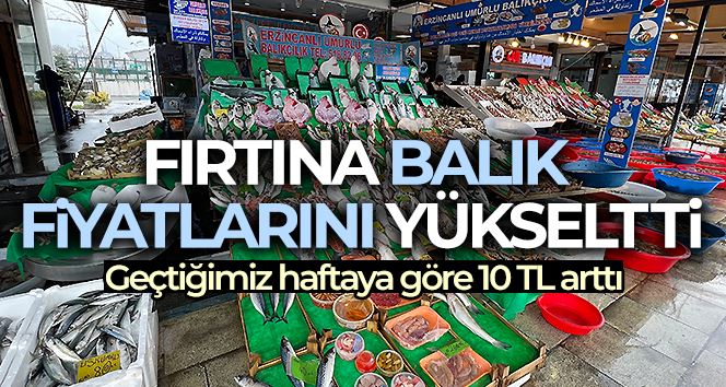 Fırtına balık fiyatlarını yükseltti