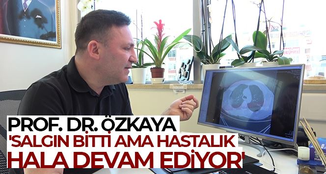 Prof. Dr. Özkaya: 