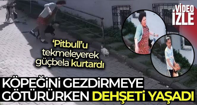 İstanbul’da korku dolu pitbull saldırısı kamerada: Köpeğini parka götüren kadın dehşeti yaşadı