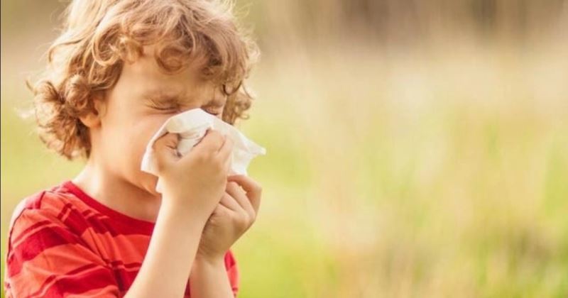 Küresel ısınma alerjik nezlelerin artış nedenlerinden
