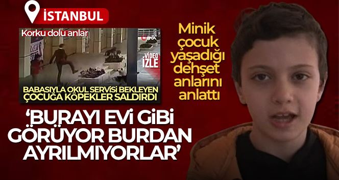 Avcılar’da köpek saldırısını yaşayan çocuk dehşet anlarını anlattı