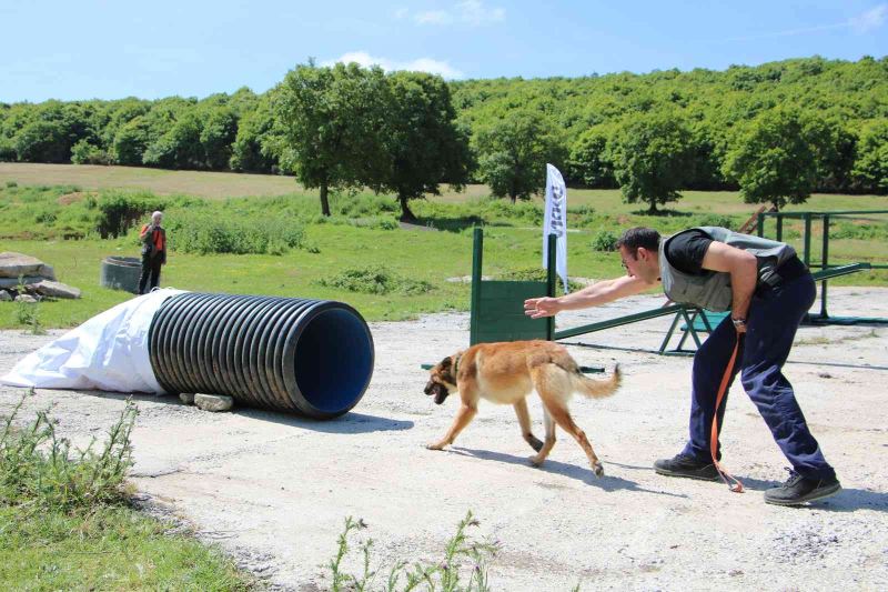 Arama kurtarma köpeklerinden başarılı sınav