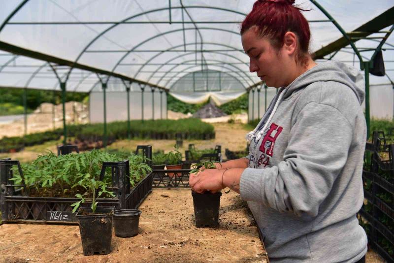 Kuaförlük yaparken çiftçiliğe geçti, 28 yaşında görenleri hayran bıraktı
